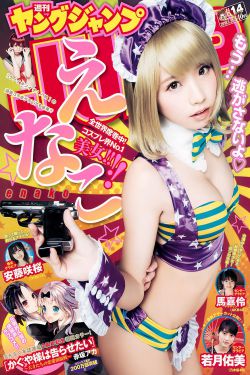 bt网站