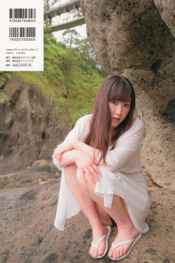 芙蓉锦